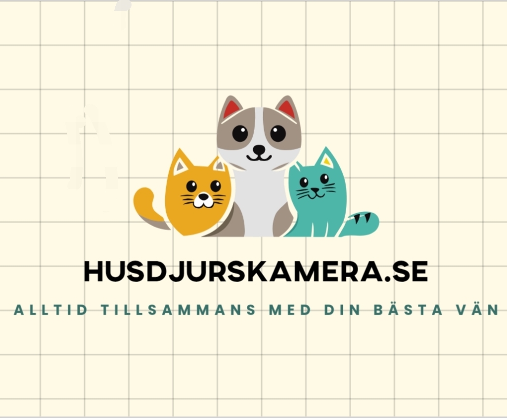 HusdjursKamera – Alltid Tillsammans Med Din Bästa Vän