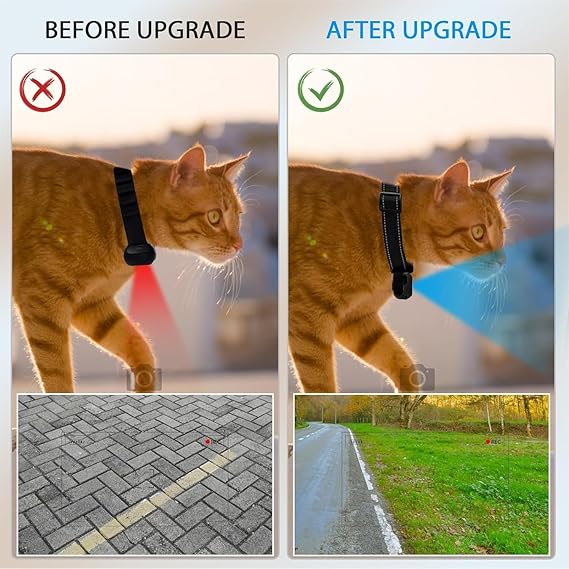 Bäst i Test innovativ teknik: Cat Camera Collar 128GB med 360 graders rotation.