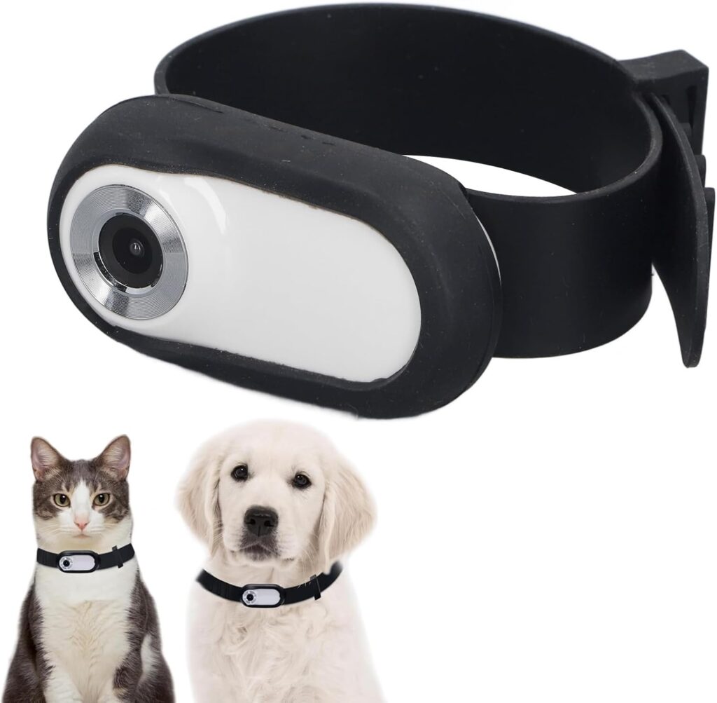 Cat Collar Camera 1080P HD - Diskret kamera för kattens nattliga äventyr.