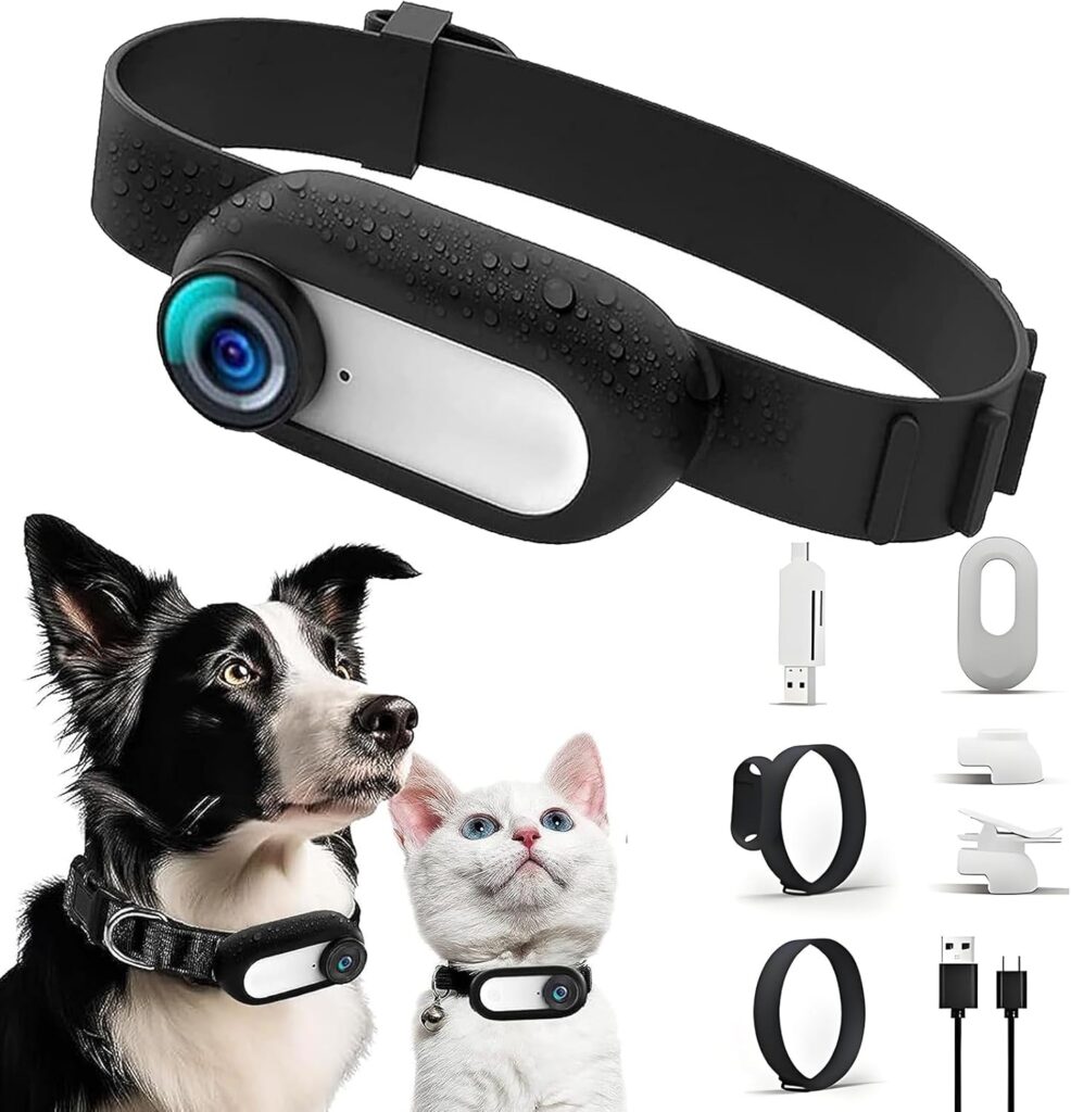 HD 1080P Cat Collar Camera - Kompakt och billig halsbandskamera för kattnybörjare